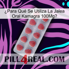 ¿Para Qué Se Utiliza La Jalea Oral Kamagra 100Mg 18